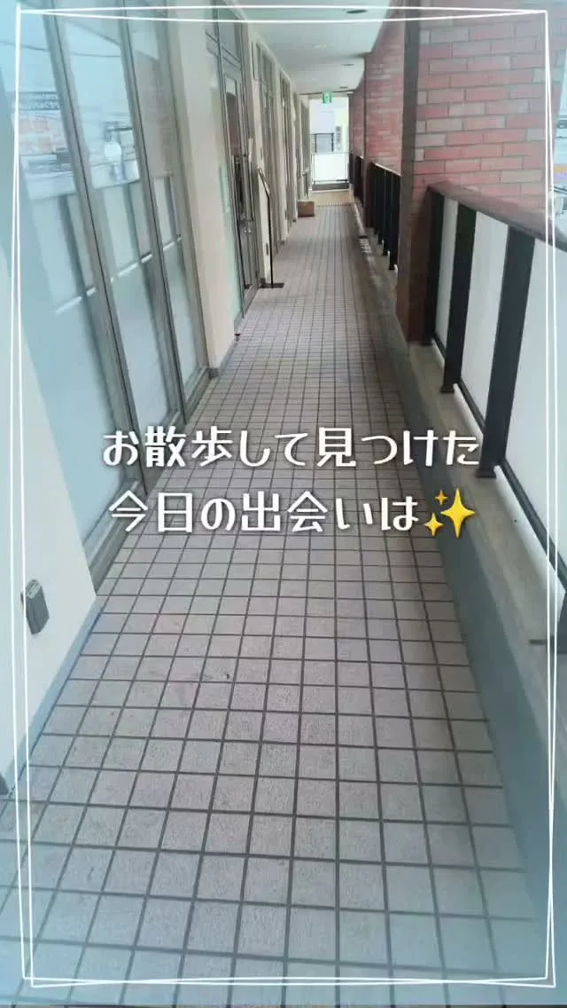 町田にある先輩レストラン🍴